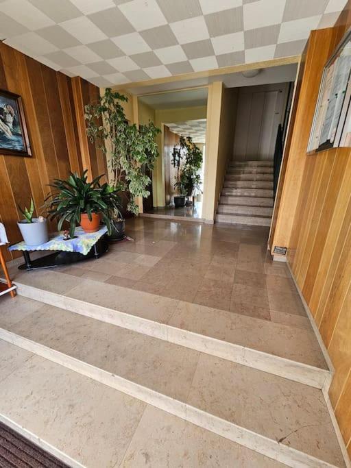 Charmant Appartement Moderne 71M2 A Illzach - Mulhouse - Parking Gratuit エクステリア 写真