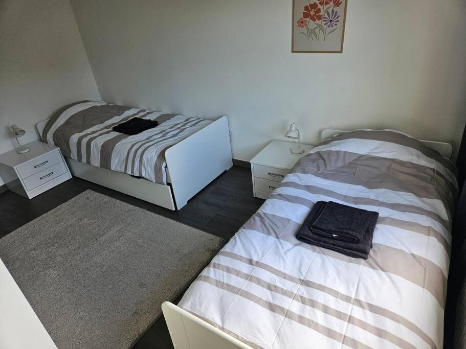 Charmant Appartement Moderne 71M2 A Illzach - Mulhouse - Parking Gratuit エクステリア 写真